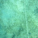 20201124_GRT_T1 (32).JPG