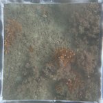 0524 CH E4 T2 (13).JPG