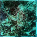 20230830_RH_20 (22).JPG