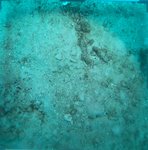 BL_20230701_25_1 (15).JPG