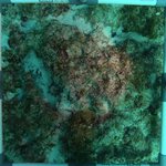 20230830_RH_15 (8).JPG