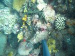 BF1_20151013_MSA068_19.JPG