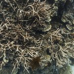 032031 - temples10.jpg