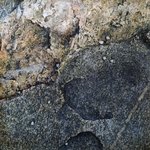 gliqu1_MH10 20250618 125026_20250618 125037_transformed_20250820_121639.JPG