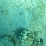 20201124_GRT_T1 (28).JPG