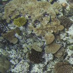 Danger Island 36002125401.jpg