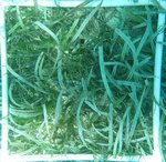 ROCK HARBOUR Q16.jpg