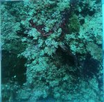 BL_20230701_10 (16).JPG