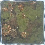 0524 CH E3 T4 (2).JPG