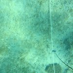 20201124_GRT_T1 (31).JPG