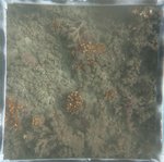 0524 CH E4 T2 (9).JPG