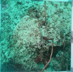 BL_20230701_20 (25).JPG