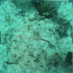 BL_20230701_15 (17).JPG