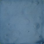 20210407_Sax_Transect 1 (1).JPG