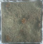 0524 CH E4 T2 (6).JPG