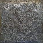 gliqu1_MC7 20250618 124331_20250618 124350_transformed_20250820_120405.JPG