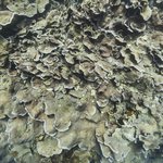 032031 - temples5.jpg