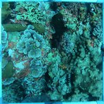 20230907_KS_10 (15).JPG