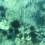 20201124_GRT_T1 (17).JPG