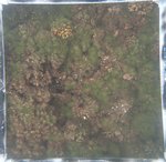 0524 CH E3 T4 (16).JPG