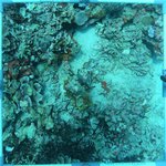 20230907_KS_10 (29).JPG