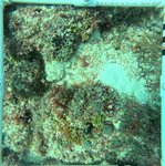 Florida Key_14_24_middle.jpeg