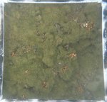 0524 CH E3 T4 (13).JPG