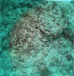 BL_20230701_20 (32).JPG