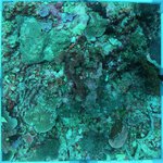 20230907_KS_30 (29).JPG