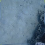 20210407_Sax_Transect 1 (23).JPG