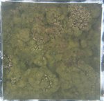 0524 CH E3 T4 (14).JPG