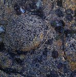 angeiras_MH10 20241022 115928_20241022 120041.JPG