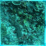 20230830_RH_10 (1).JPG