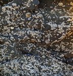 alterinhos_MC8n_20250330 105850.JPG