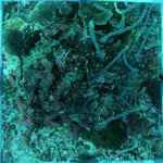 20230907_KS_30 (15).JPG