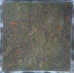 0524 CH E4 T4 (11).JPG