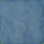 20210407_Sax_Transect 1 (32).JPG