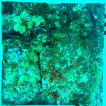 Florida Key_10_24_inner.jpg