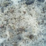 one tree island 1.jpg