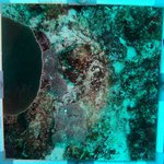 20230830_RH_25 (15).JPG