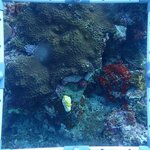 BR_20240606_15 (17).JPG