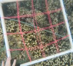 2 - 2021_R1_T1_ Crest_28.JPG