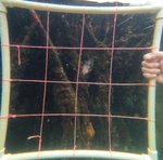 GPTempDownload (3).jpg