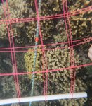 2 - 2021_R1_T1_ Crest_25.JPG