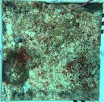 Florida Key_16_24_middle.jpeg