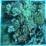 20230907_KS_10 (8).JPG