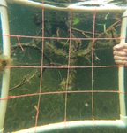 GPTempDownload (6).jpg