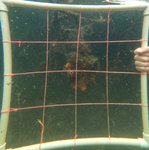 GPTempDownload (5).jpg