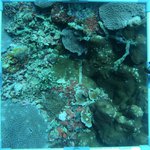 20230907_KS_10 (22).JPG