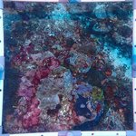 BR_20240606_20 (10).JPG